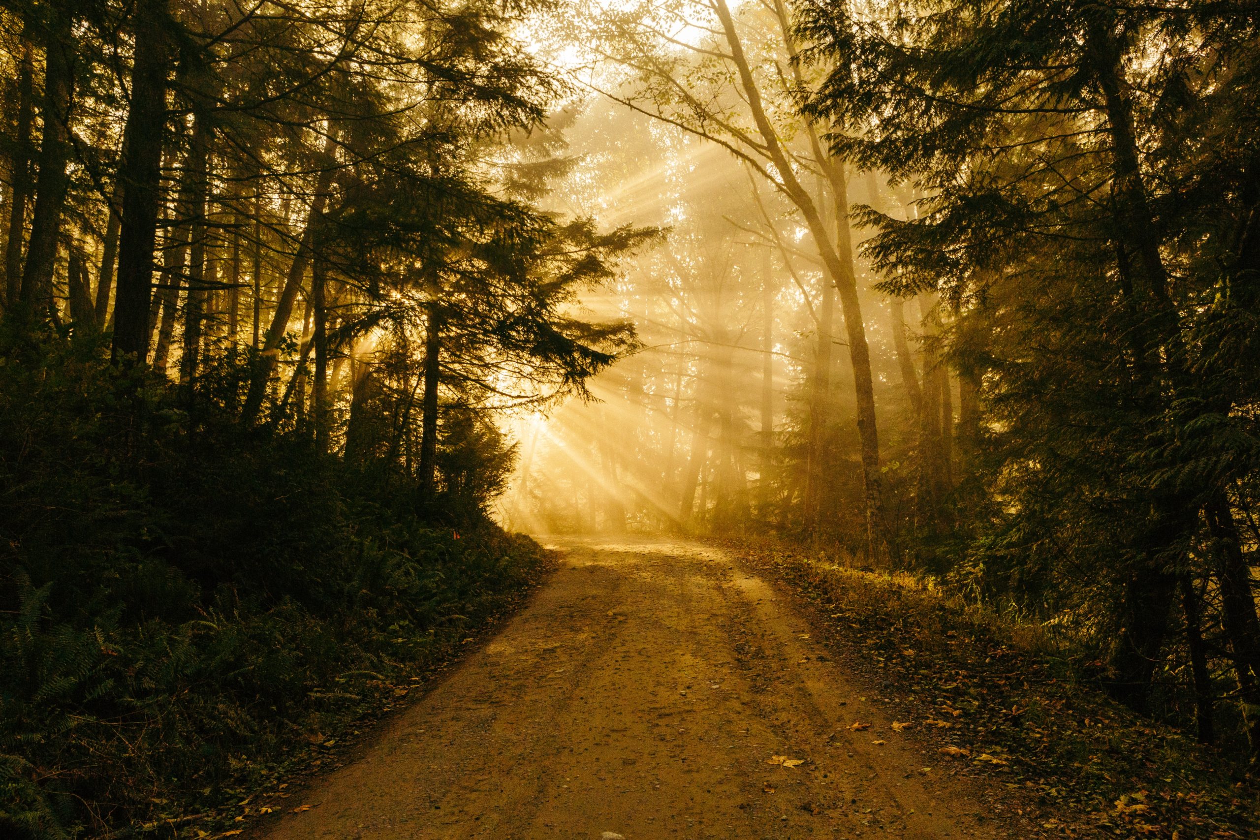 3 Secrets to Staying on the Narrow Path