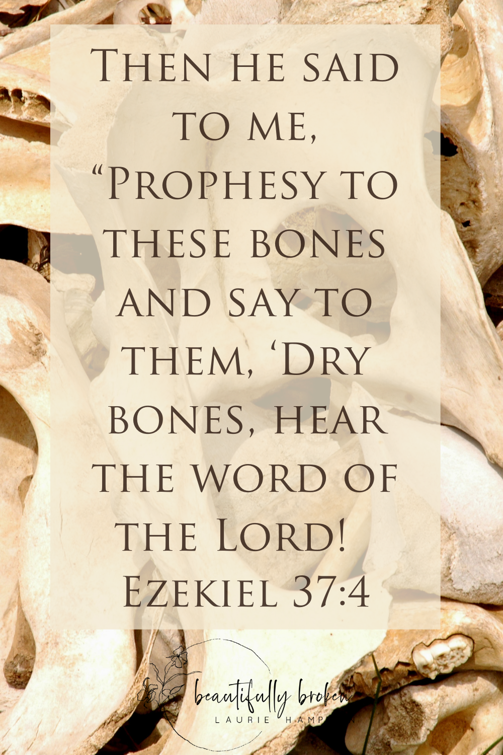 Bones Rattling Rattle Those Dry Bones