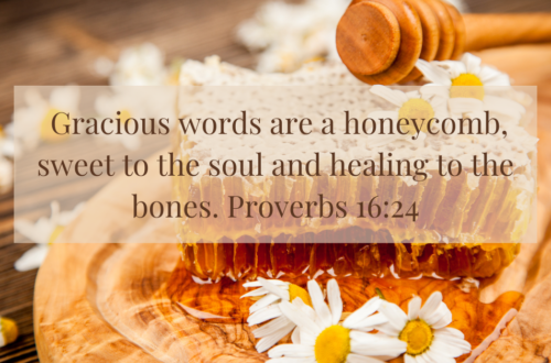 Gracious words are a honeycomb, sweet to the soul and healing to the bones. Proverbs 16:24
